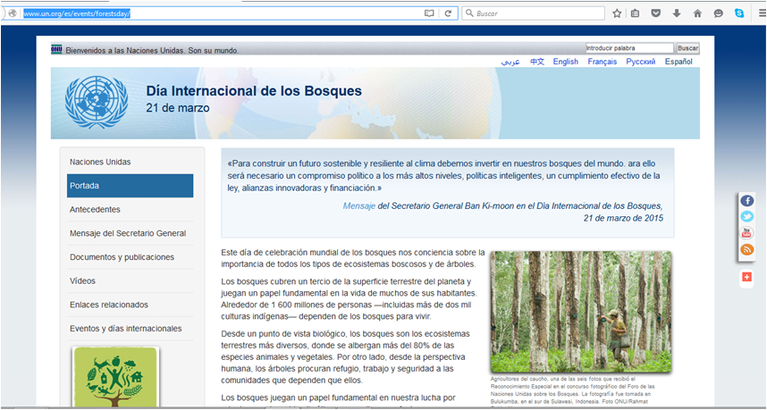 Día Insternacional de los Bosques