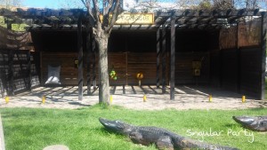 PicsArt_1463269581138