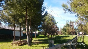 PicsArt_1463270859902