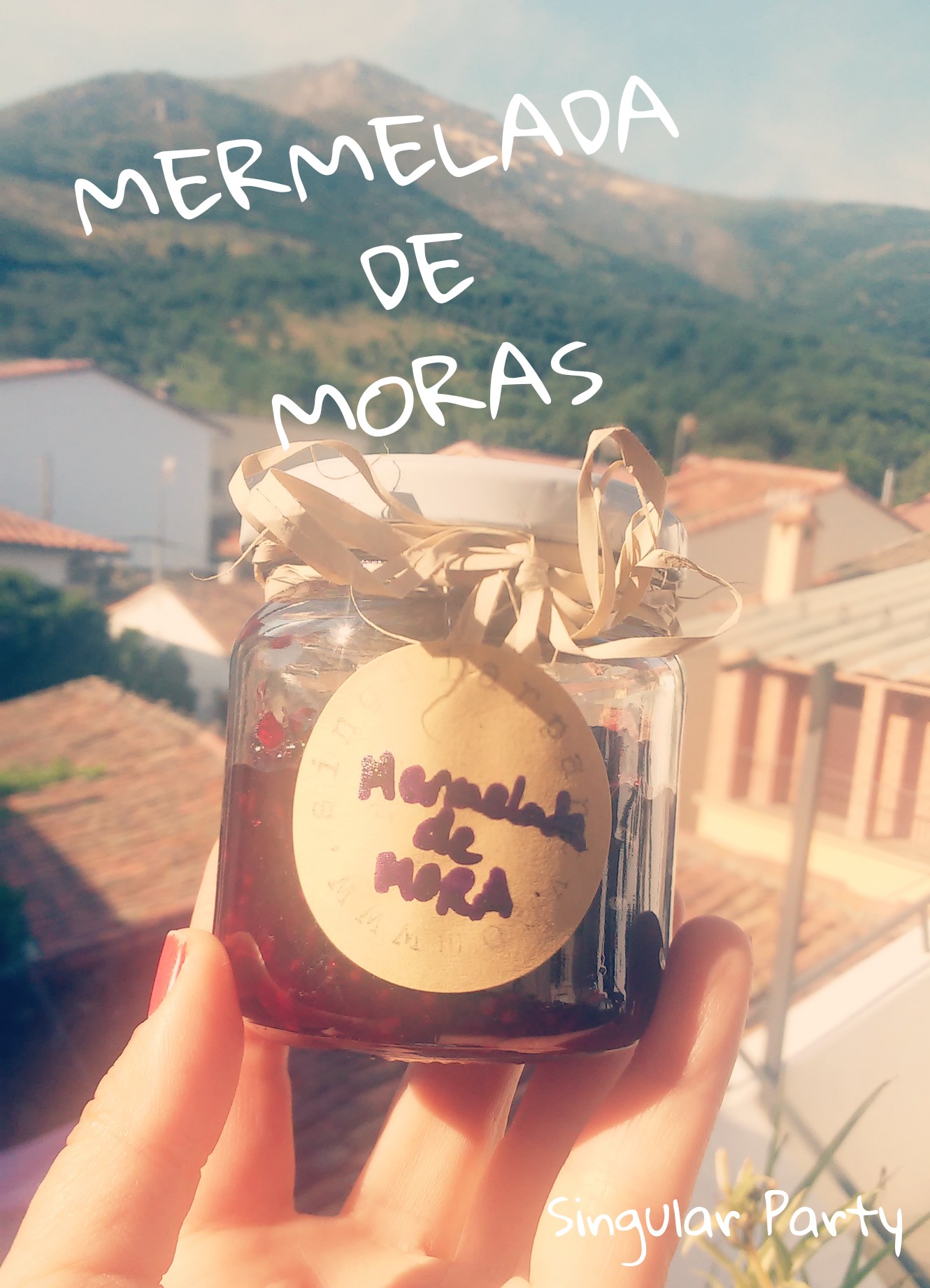 Mermelada de moras