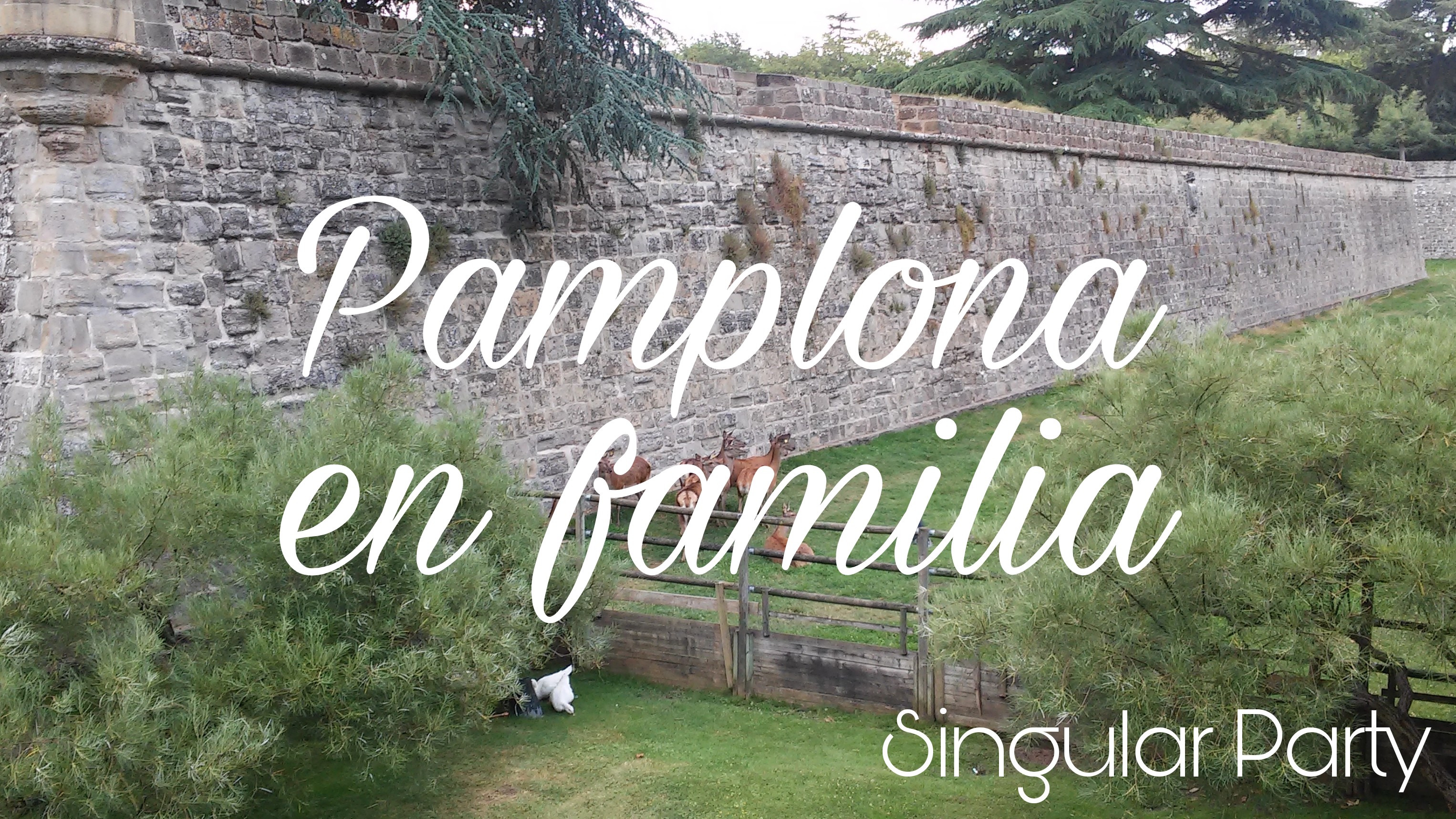 Pamplona en familia